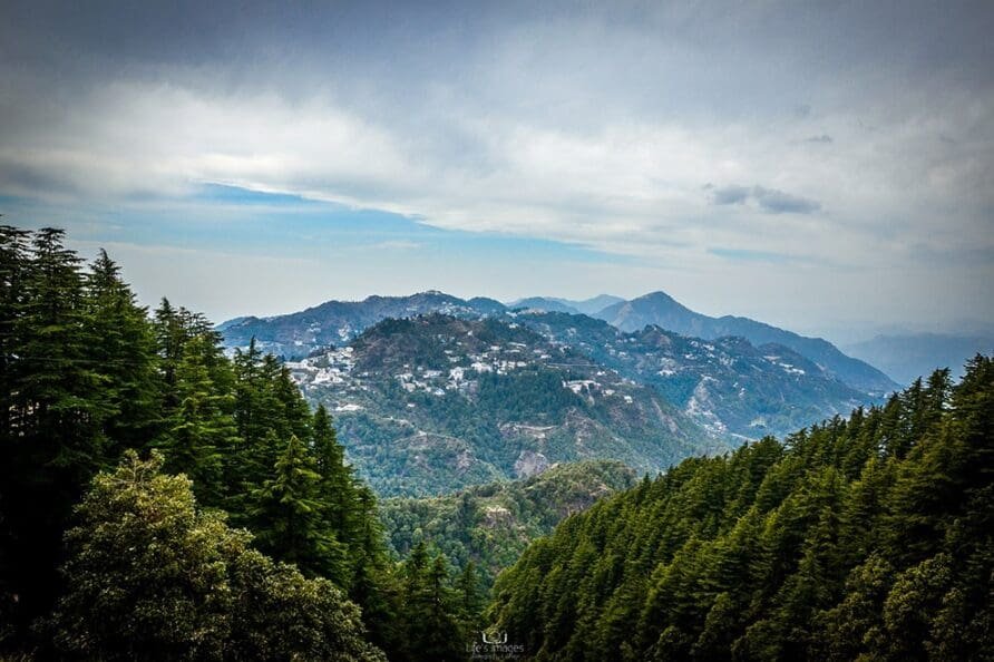 Long Shot of Mussoorie through forest for Blog